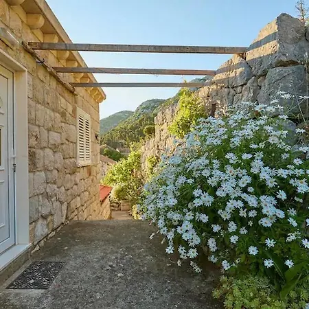 With Parking Space Maranovici, Mljet - 22339 Maranovici